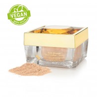 Silk Oil Argan Mineral Foundation